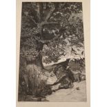 Max Klinger (b.1857), etching, Wolf and dead cavalryman, 32 x 20cm, unframed