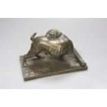 A late 19th / early 20th century bronze study of a dog, 8cm high