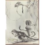 Ralph Thompson (1913-2009), ink and wash, 'Bush Babies', signed with Tryon Gallery label verso, 48 x