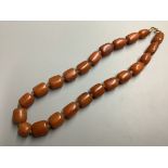 A single strand graduated barrel shaped amber bead necklace, 50 cm, gross weight 89 g.