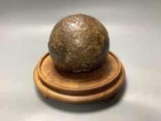 A 17 / 18th century canon ball, on hardwood stand