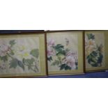 Chinese School, three watercolours on silk, Studies of flowers and butterflies, 28 x 38cm