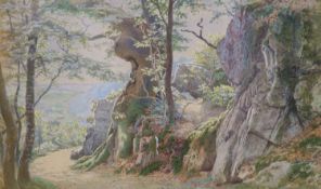 William Biscombe Gardner (1847-1919), watercolour, Landscape near Tunbridge Wells, signed and