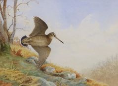 Ben Hoskyns (b. 1963), watercolour, Moorland landscape with snipe in flight, signed, 21.5 x 28cm