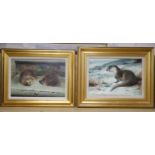 John Edwards (20th century), two oils on board, 'Otter in winter' and 'Hedgehogs', signed, 24 x 34cm