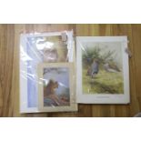 A collection of framed and unframed wildlife prints after Archibald Thorburn, David Digby and