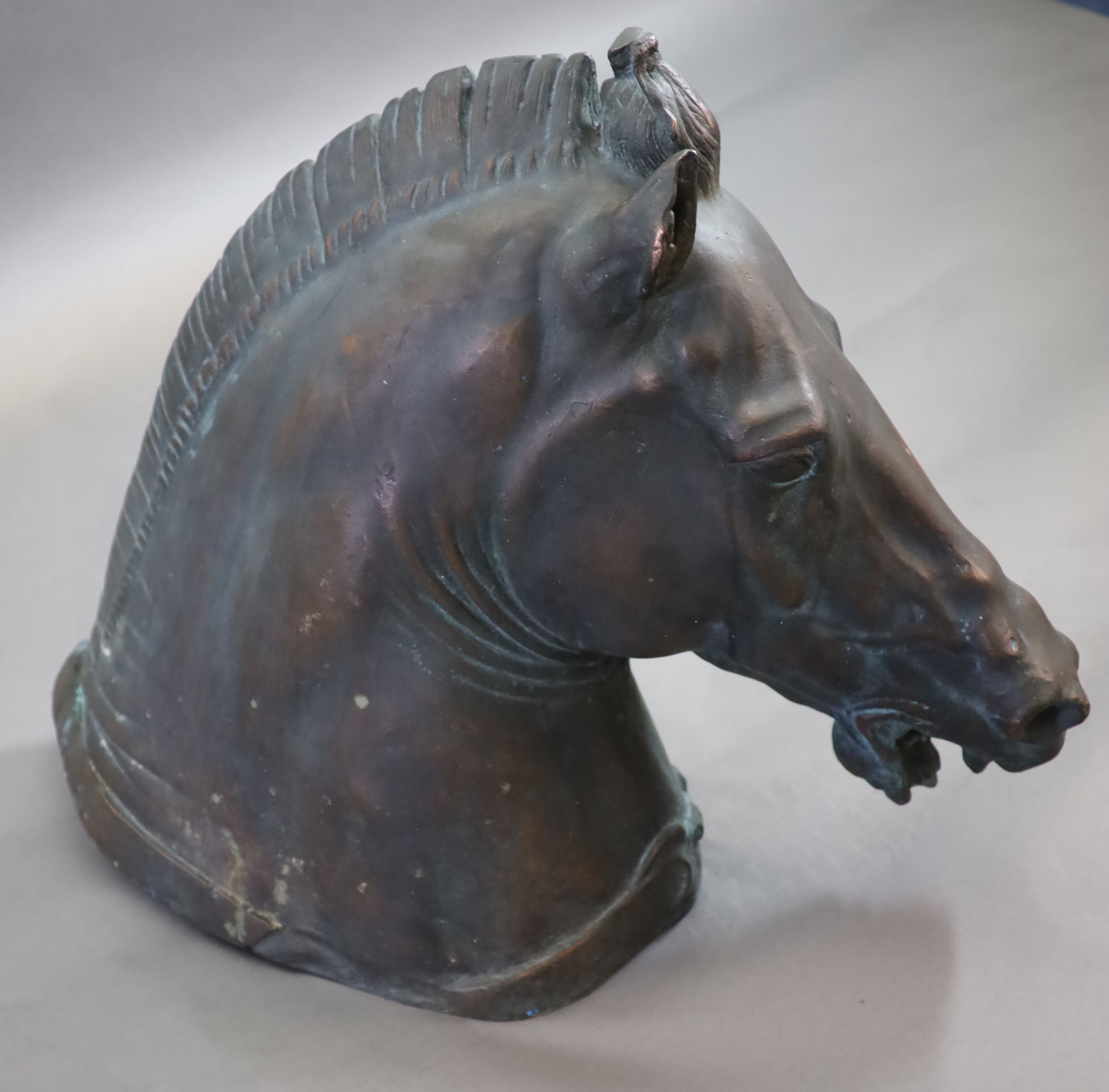 A large and impressive life-size bronze model after the Medici Riccardi horse’s head, 20th - Image 2 of 4