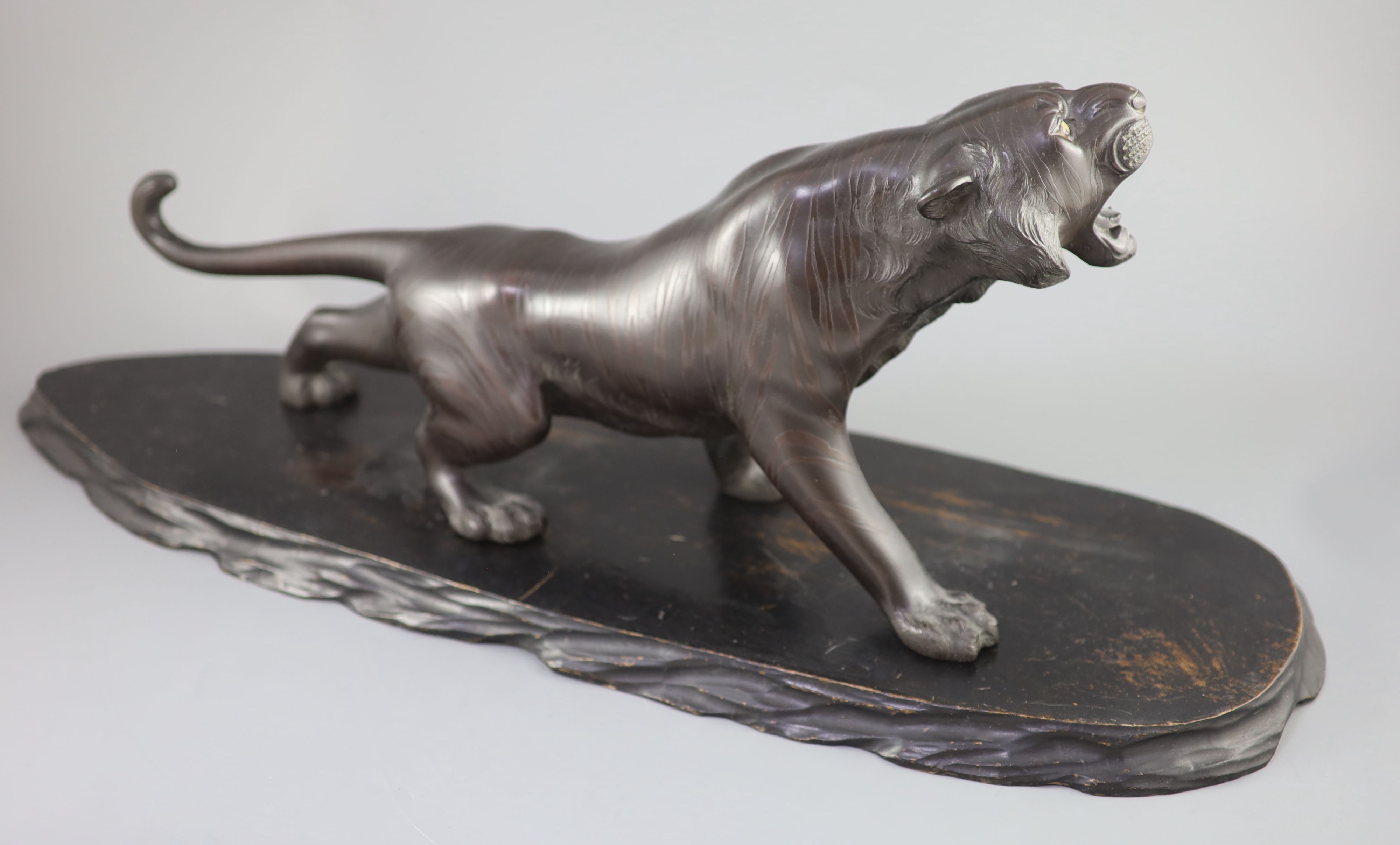 A large Japanese bronze figure of a tiger, Meiji periodnaturalistically modelled, standing roaring,