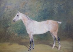 * William Joseph Redworth (1873-1941)Portraits of Racehorses: Archdeacon, Chanois, Lord Dalmahoy and