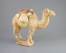 A Chinese pottery model of a Bactrian camel and a similar head of a man, Tang Dynasty,the buff
