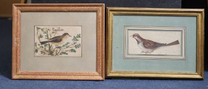 Early 17th century French SchoolTwo bird studies, one title Pouillonbodycolour on paper10 x 15.5cm