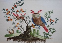 L Champquin (fl.c1800)Owl and owlets in a stunted fruit treewatercolour18 x 26cm A local Private