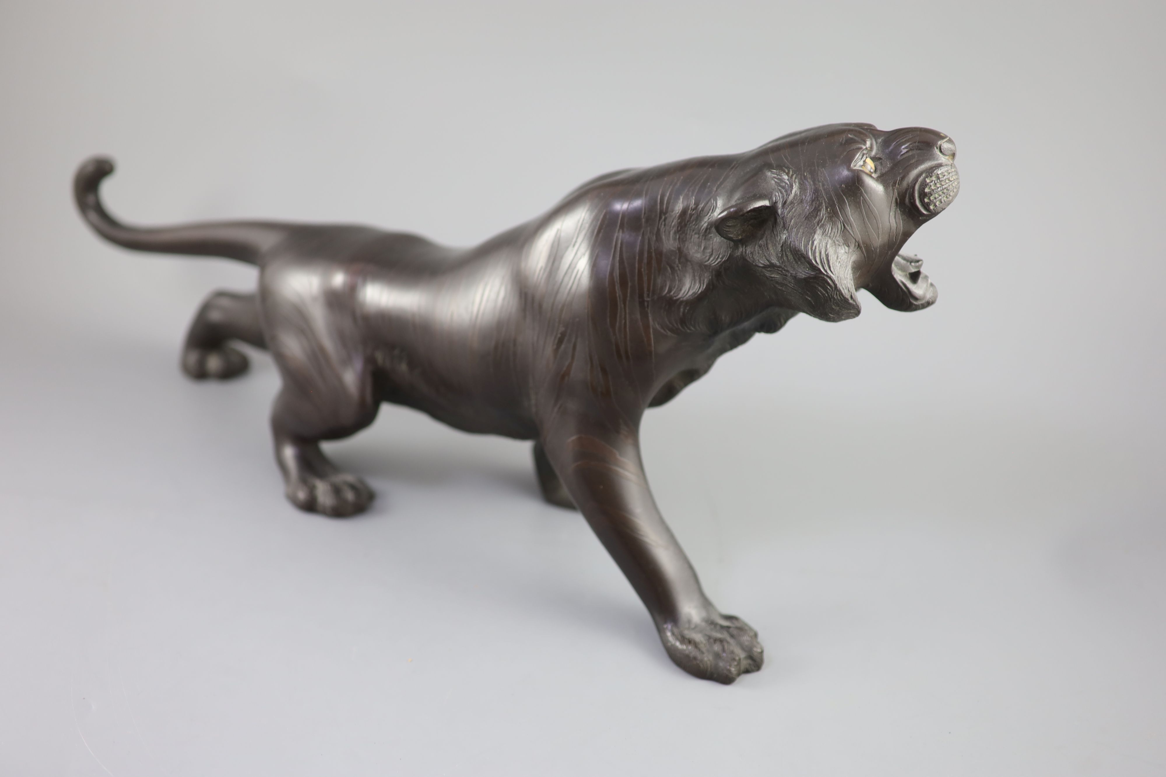 A large Japanese bronze figure of a tiger, Meiji periodnaturalistically modelled, standing roaring, - Image 4 of 4