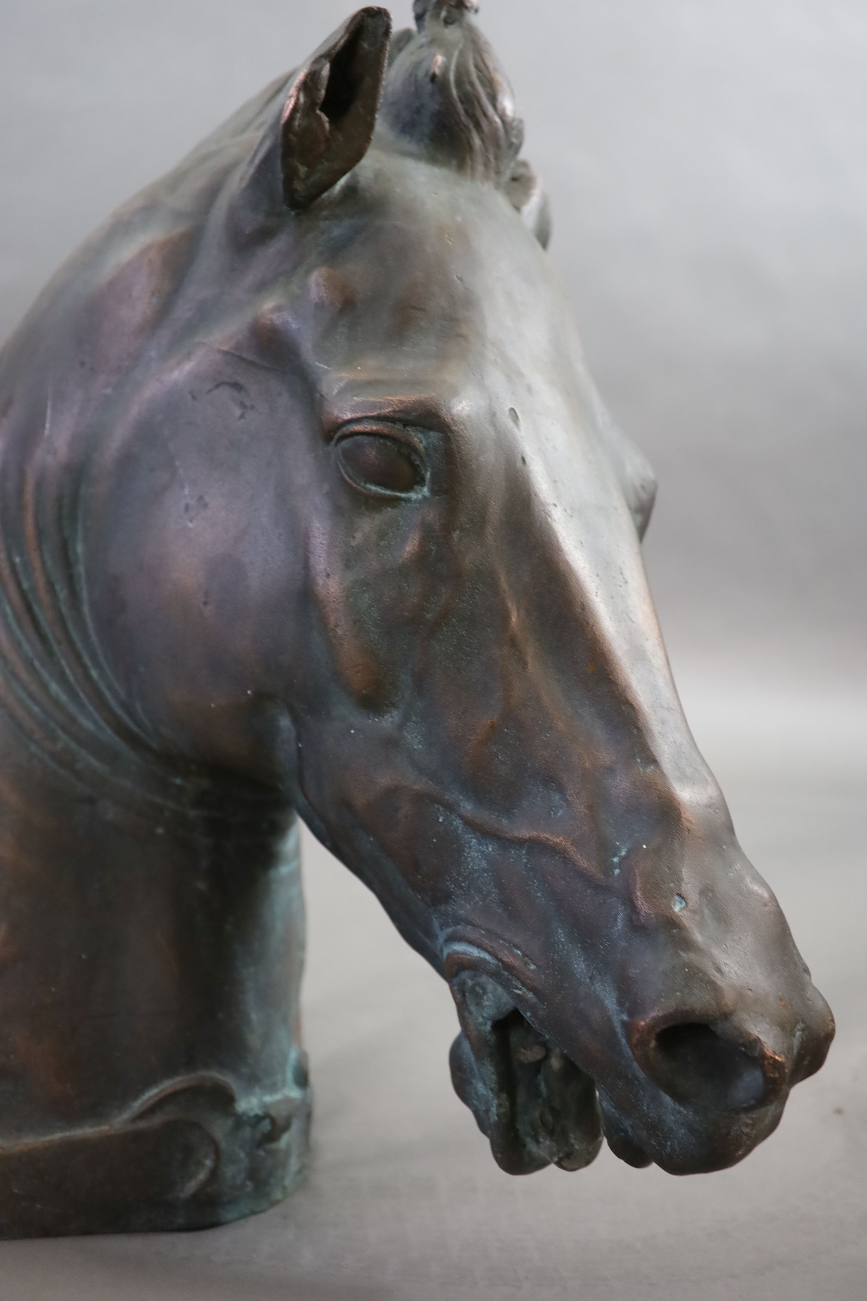 A large and impressive life-size bronze model after the Medici Riccardi horse’s head, 20th - Image 4 of 4