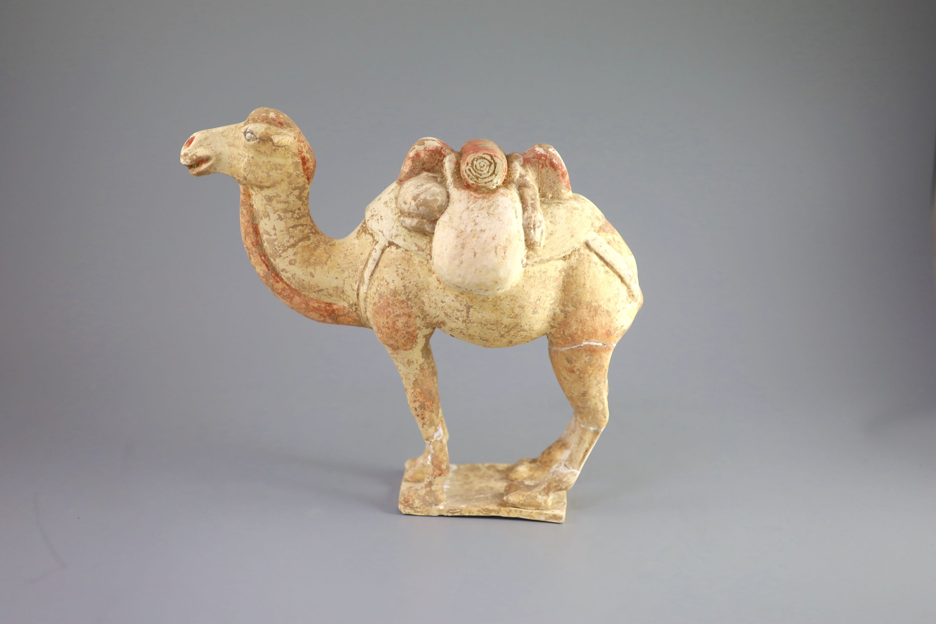 A Chinese pottery model of a Bactrian camel and a similar head of a man, Tang Dynasty,the buff - Image 2 of 5