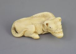 Manner of Tomotada (late 18th - early 19th century), a Japanese ivory netsuke of a recumbent ox,