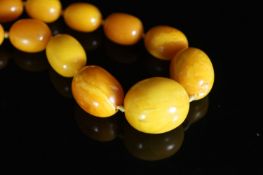 A single strand graduated oval amber bead necklace,65cm, gross 136 grams.