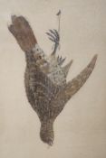 An Edwardian featherwork and watercolour study of a hanging partridge, 45 x 30cm