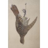 An Edwardian featherwork and watercolour study of a hanging partridge, 45 x 30cm