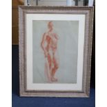 Clara Klinghoffer (1900-1972), sepia chalk on grey paper, Standing female nude, signed and dated '