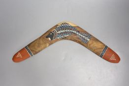 An Aboriginal returning boomerang, width 42cm