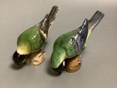 A pair of Meissen models of Great tits, width 12cm