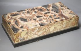 An unusual specimen marble plinth, 48 x 25.5cm