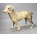 An early 20th century animal hide covered model of a terrier