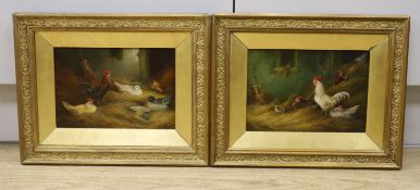 A. Jackson, pair of oils on boards, Studies of ducks and chickens, signed, 17 x 24cm