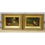 A. Jackson, pair of oils on boards, Studies of ducks and chickens, signed, 17 x 24cm