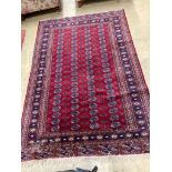 A Bokhara burgundy ground rug, 238 x 160cm