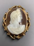 A Victorian yellow metal mounted oval cameo shell brooch, carved with the bust of a lady to
