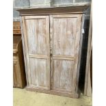 A Victorian pine two door cupboard, width 120cm, depth 45cm, height 170cm