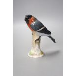 A late 19th century Meissen figure of a bullfinch, height 14.5cm