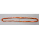 A single strand graduated coral bead necklace, with coral mounted yellow metal clasp,63cm, gross