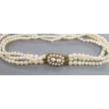 An Edwardian triple strand seed pearl bracelet, with yellow metal and seed pearl set clasp,17cm.