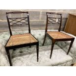 A pair of Regency beech cane seat chairs