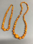 Two single strand graduated oval amber bead necklaces, 60cm & 42cm, gross weight 60 grams.