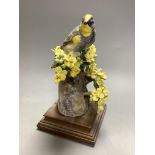 A Royal Worcester porcelain bird on stand, 23cm high