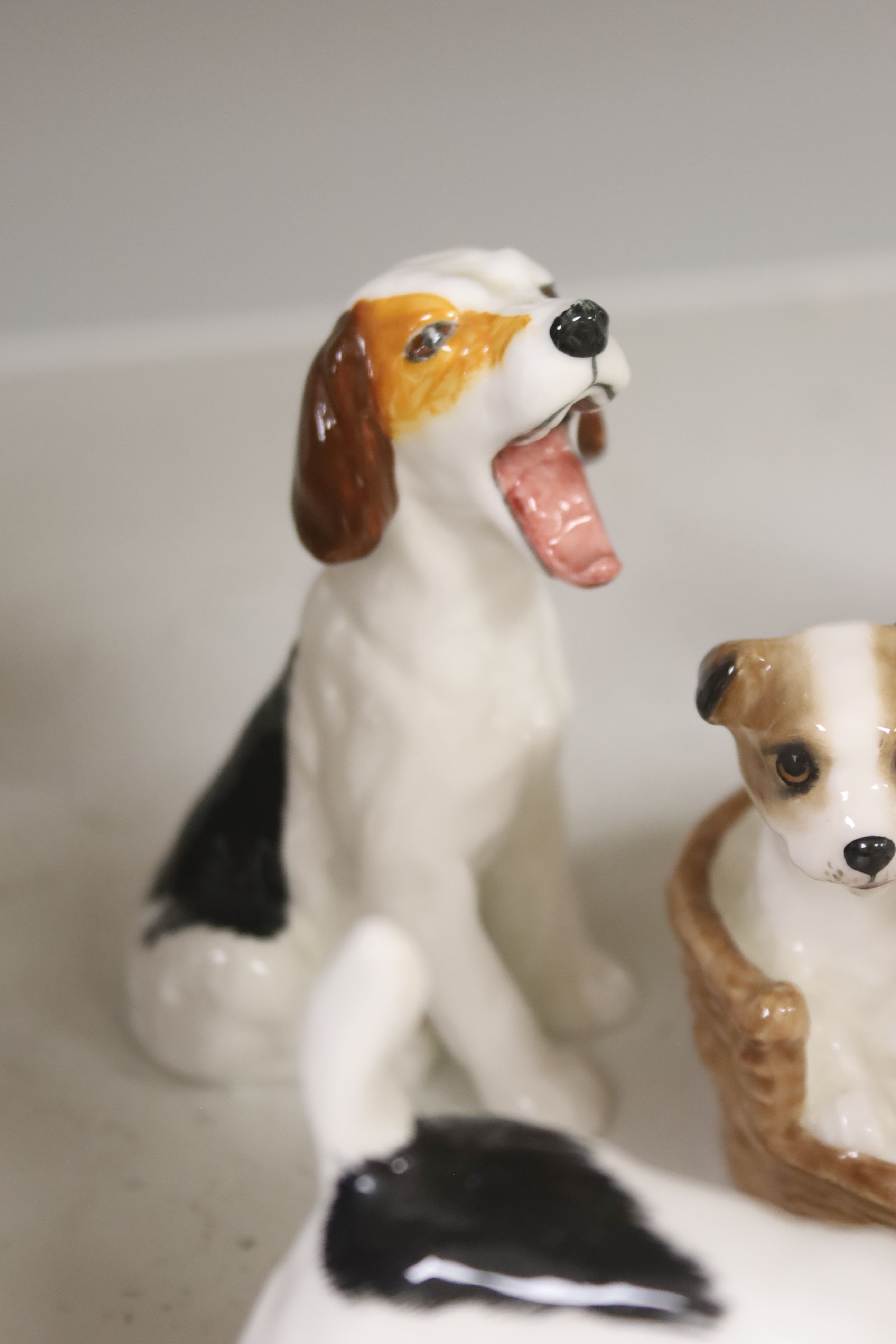 Seven Royal Doulton models of terrier puppies - Image 5 of 6
