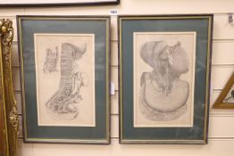 Two Victorian anatomical engravings from Halls Encyclopedia, 37 x 22cm