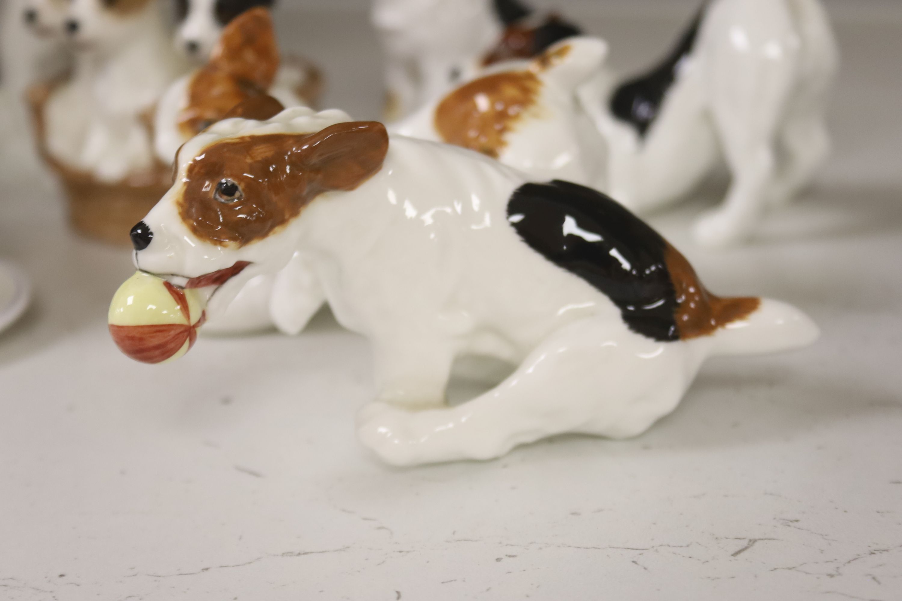 Seven Royal Doulton models of terrier puppies - Image 2 of 6