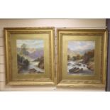 S.L. Beetholme, pair of oils on card, River landscapes, signed, 38 x 30cm