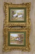 G. Williams, pair of oils on panel, Ducks and ducklings, signed, 10 x 12cm