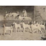 Arthur Wardle, photo-lithograph, Totteridge Eleven; foxhounds signed in pencil, 42 x 52cm