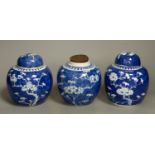 Three Chinese blue and white prunus jars, late 19th century/early 20th century