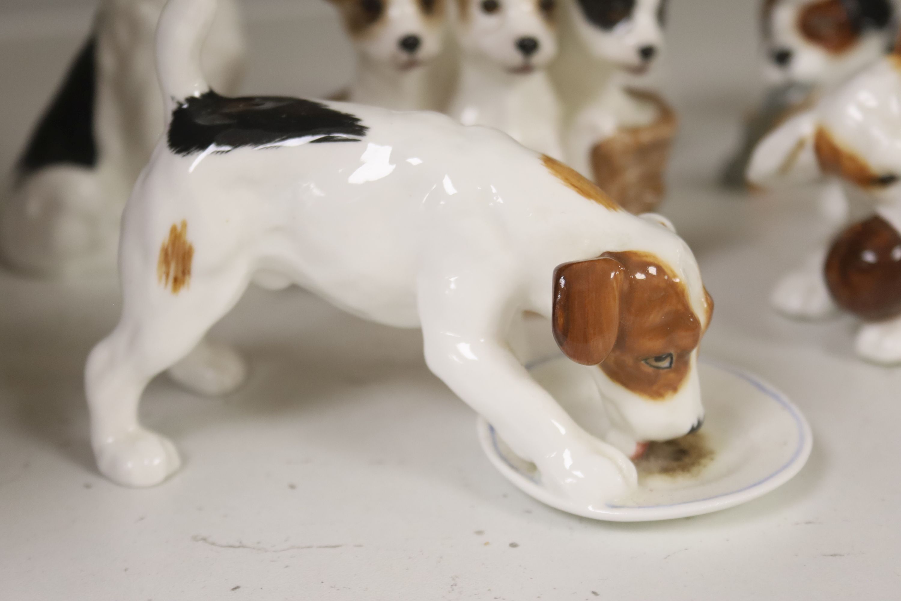 Seven Royal Doulton models of terrier puppies - Image 3 of 6