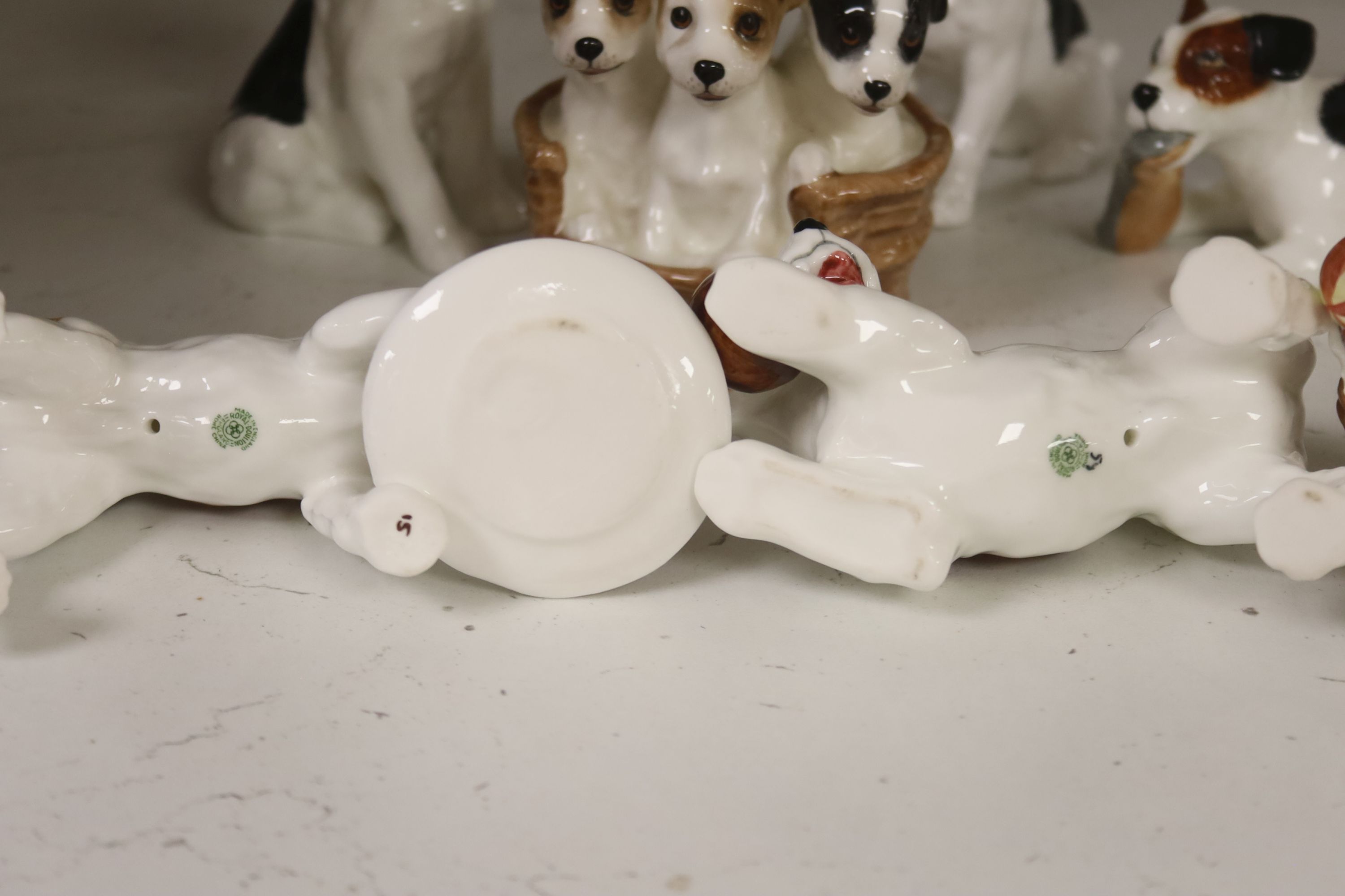 Seven Royal Doulton models of terrier puppies - Image 6 of 6