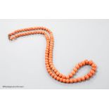 A large single strand graduated coral bead necklace, with yellow metal clasp, 80cm, gross weight
