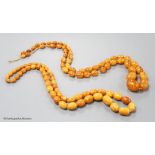 Two single strand graduated oval amber bead necklaces, 71cm, 61 grams & 89cm, 68 grams (beads